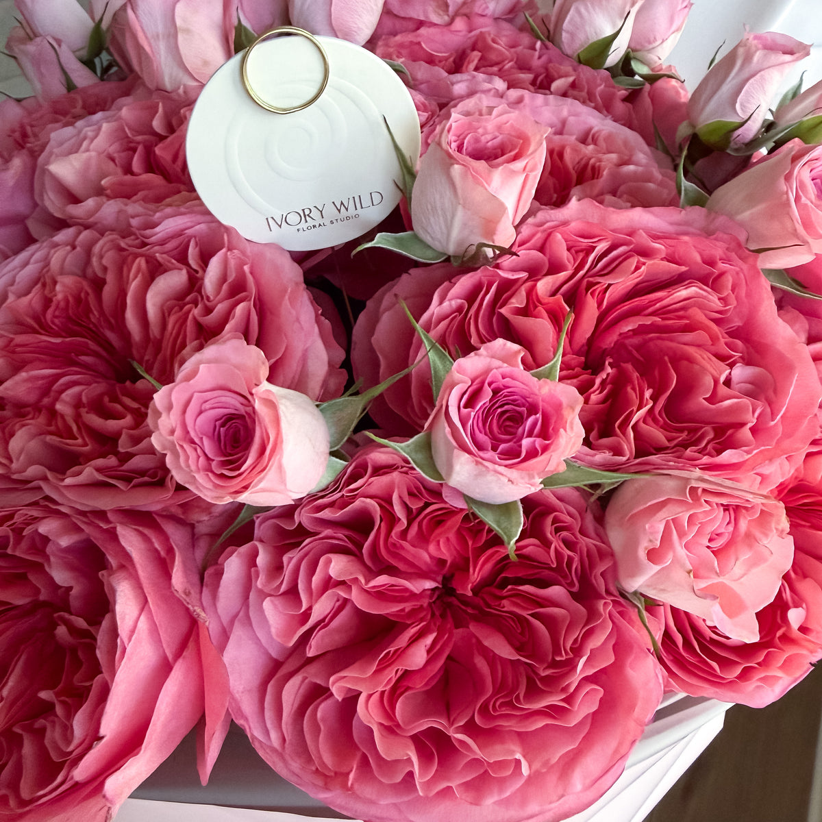 Ruffled deep pink garden rose petals contrast with smaller pale pink spray roses.